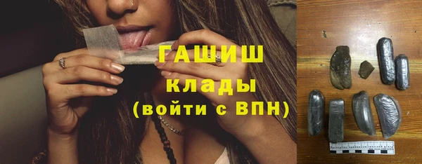 стаф Алзамай