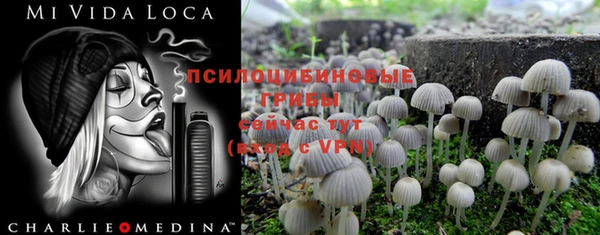 трава Алексин