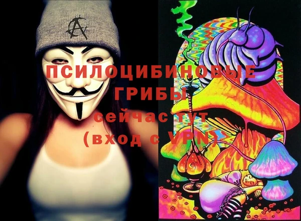 стаф Алзамай