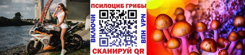 Псилоцибиновые грибы Psilocybine cubensis  Любим 